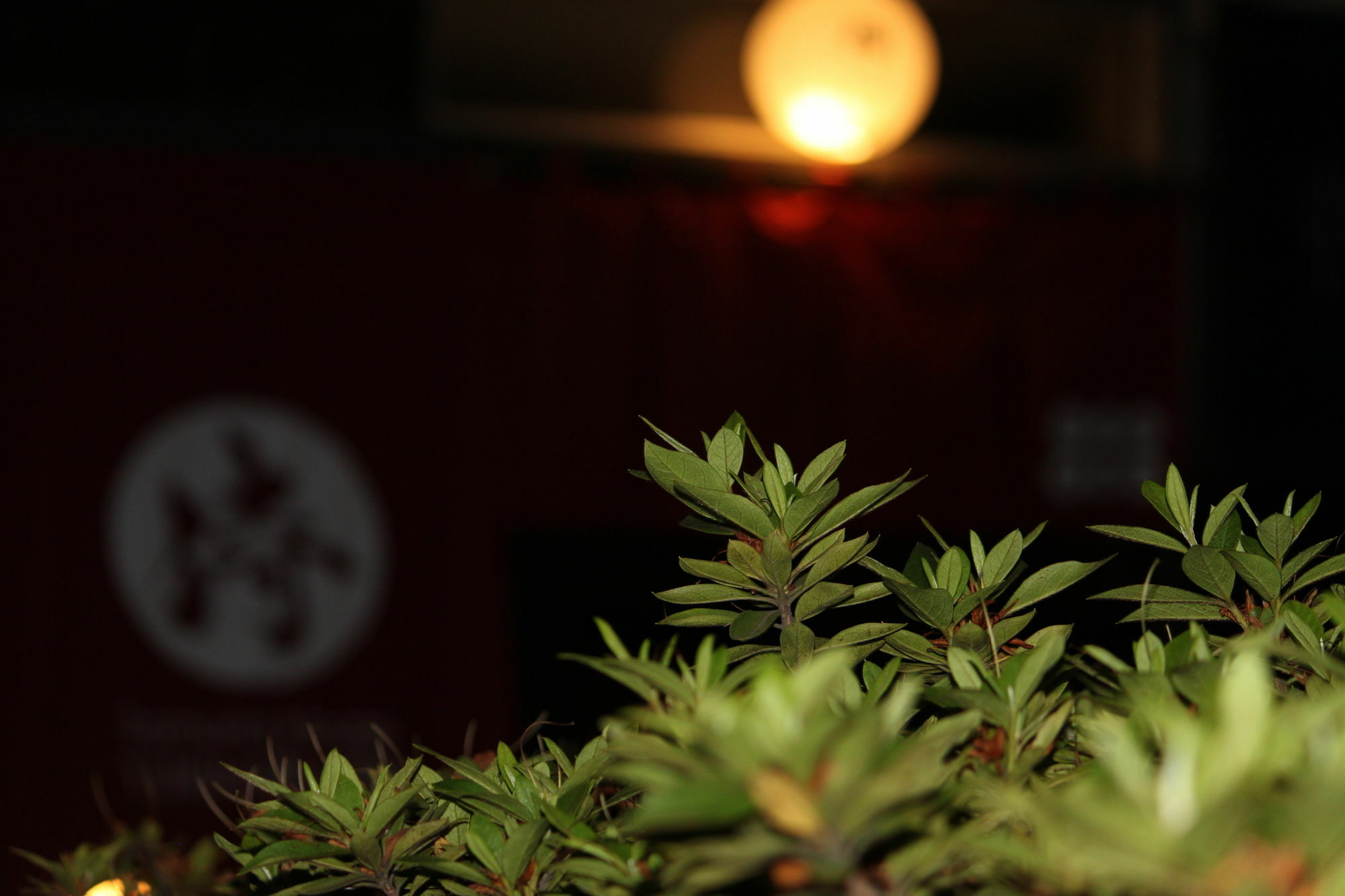 Samurai House Yukimura Tokio Exterior foto